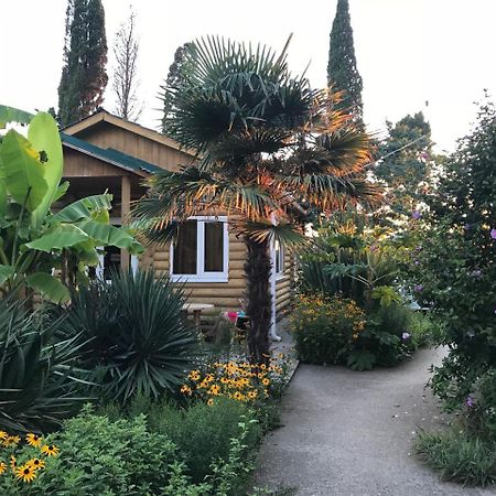Гостевой Дом "Сария" Hotel Alakhadze Exterior foto