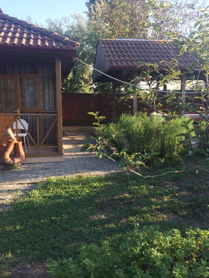 Гостевой Дом "Сария" Hotel Alakhadze Exterior foto