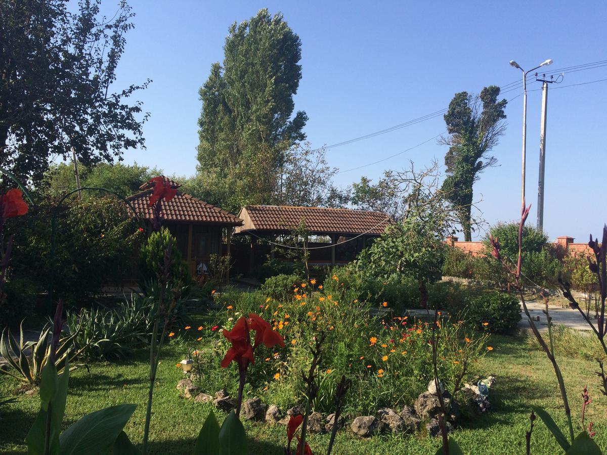 Гостевой Дом "Сария" Hotel Alakhadze Exterior foto