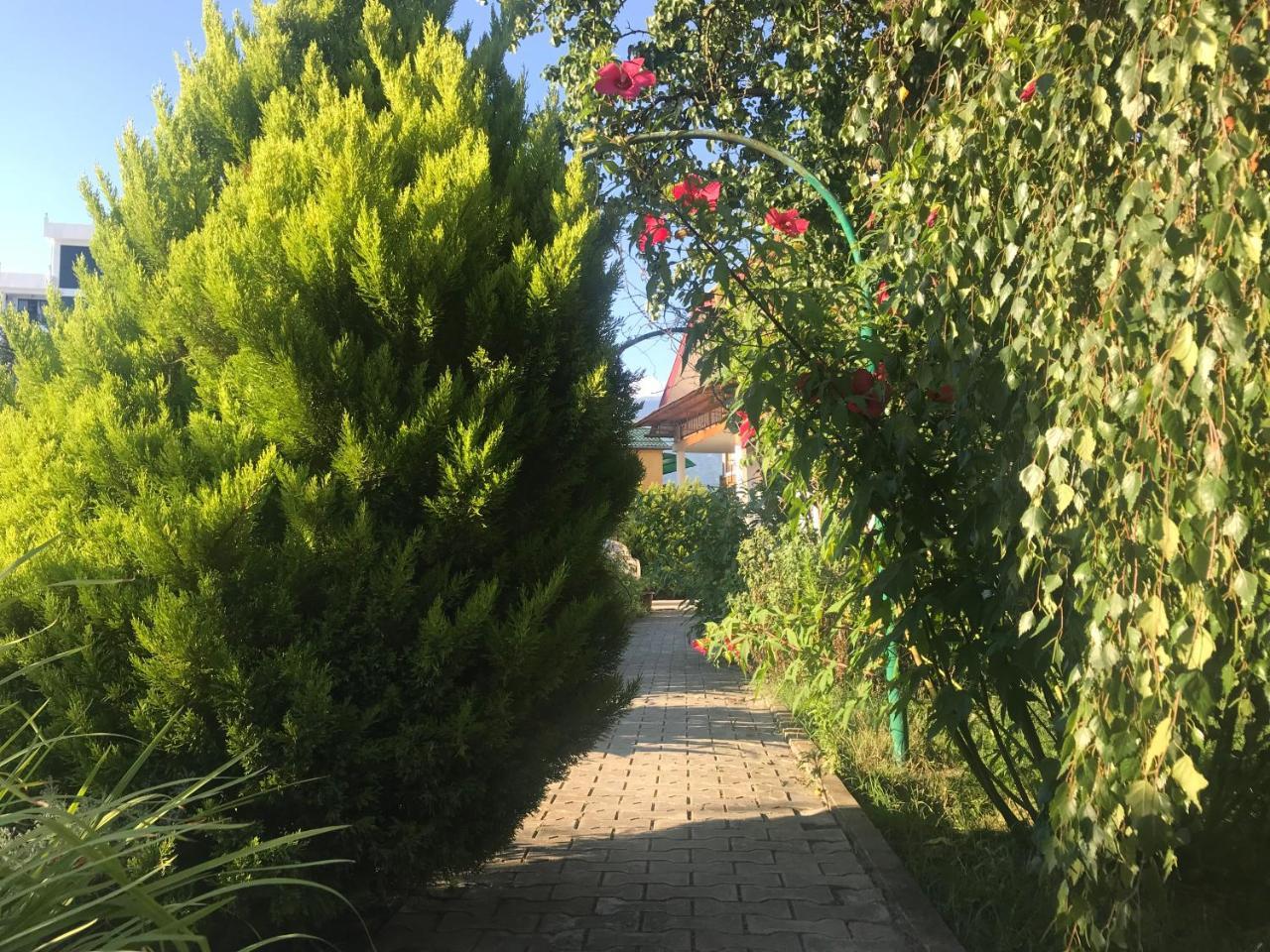 Гостевой Дом "Сария" Hotel Alakhadze Exterior foto